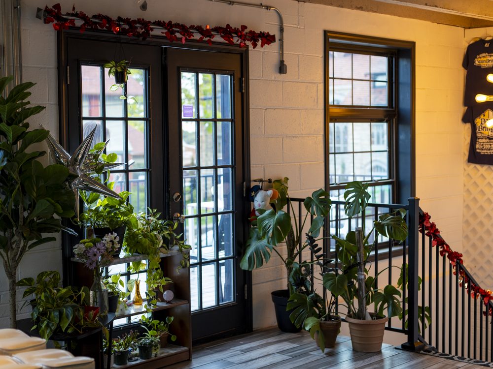 The Dawnbringer lobby with plants and the stairway up to the studio